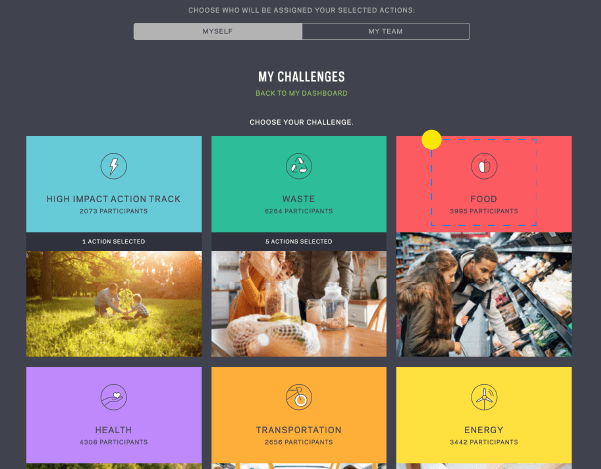 Screenshot of Ecochallenge dashboard