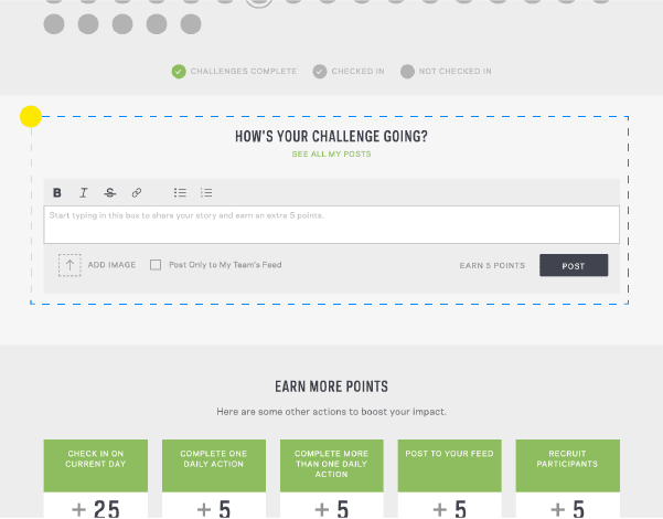 Screenshot of Ecochallenge dashboard